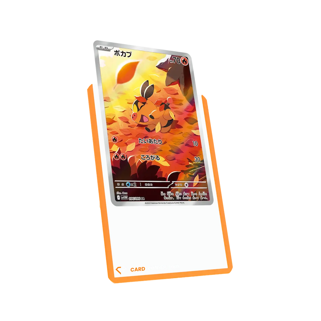 Orange Border Toploaders - Image 3