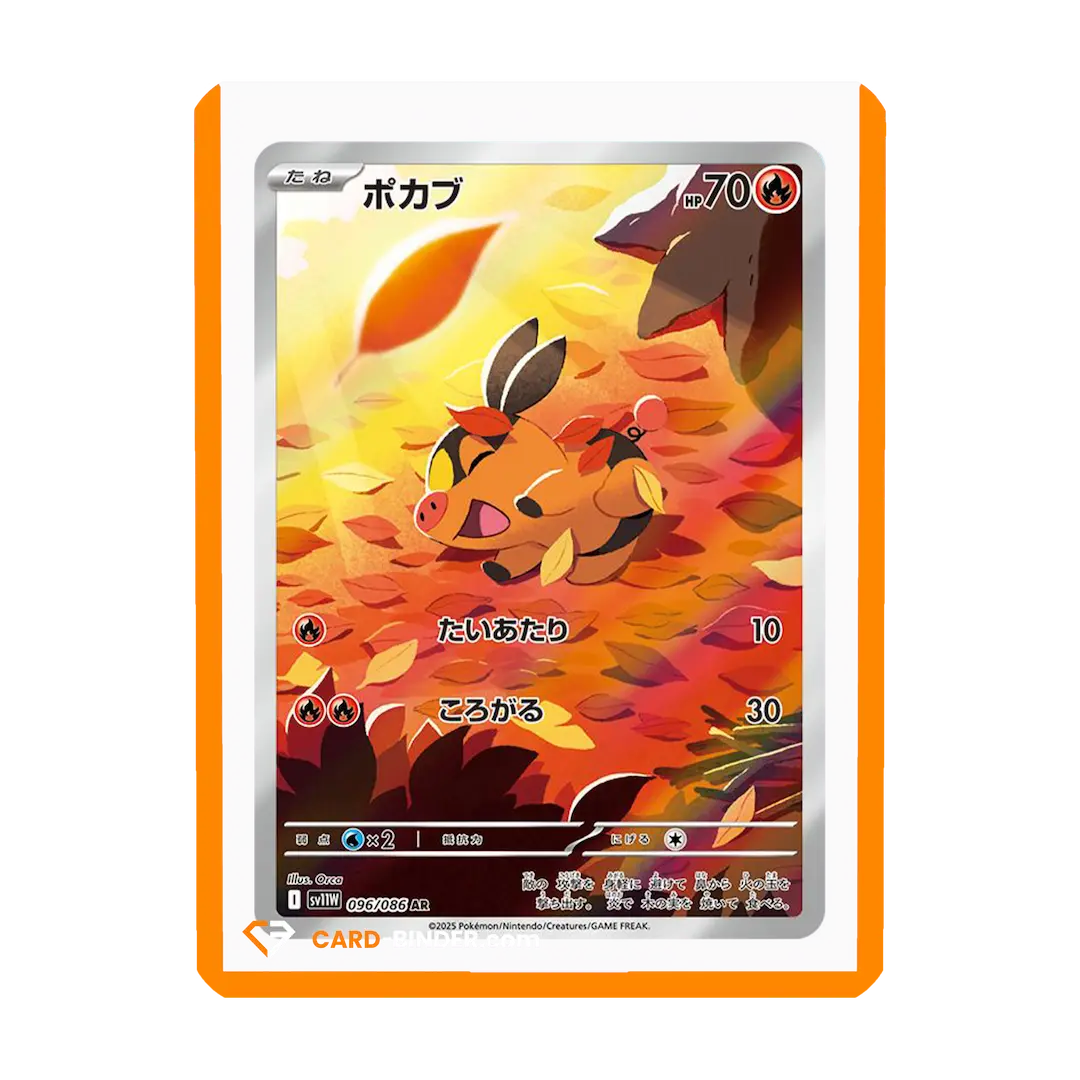Orange Border Toploaders - Image 4
