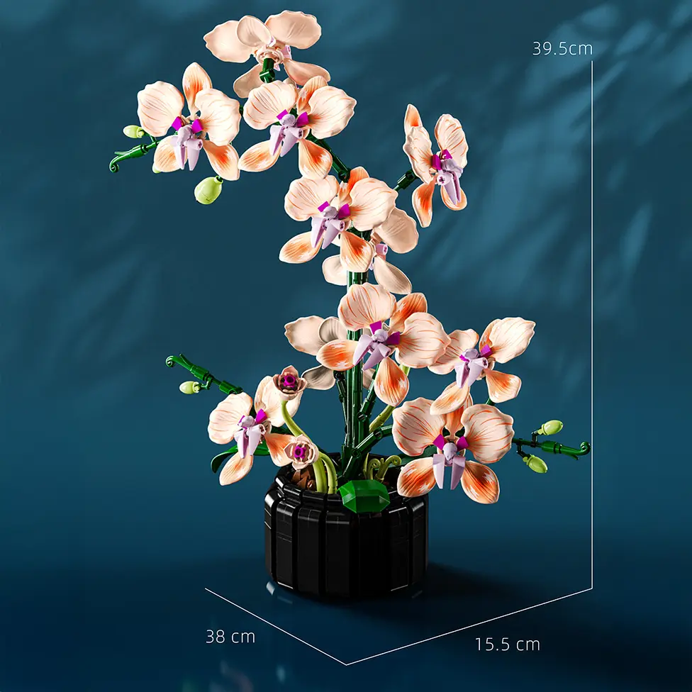 Phalaenopsis Pink Orchid - Image 3